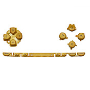 Ersatz-Knopf für psp (gold)