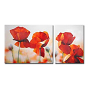 Peinture à l'huile réalisée à la main florale sur canevas tendu - Set de 2