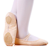 hermosos zapatos de baile de ballet de lona de rendimiento para las mujeres (más colores disponibles)