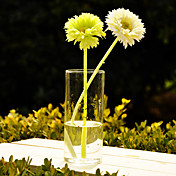 diseño clásico florero de vidrio transparente central