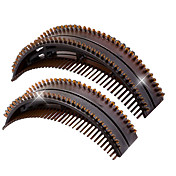 Hair Props (2-Piece)