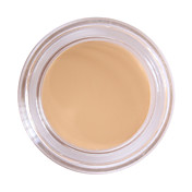 Perfect Concealer