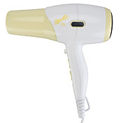 220V Paiter Electric Hair Dryer HD9901