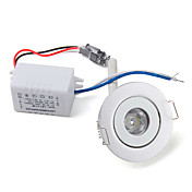 1W 100LM 6500K White LED Ceiling Lamp Down Light with LED Driver (AC 86~265V)