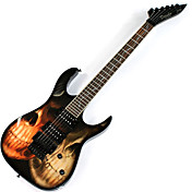 Derulo - professionelle crossbones Stratocaster E-Gitarre mit Tasche / Gurt / Picks / Kabel / Whammybar