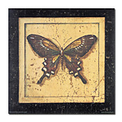 Illustratie op gespannen doek Prints Animal 24 "x 24"