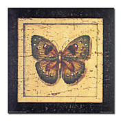 Illustratie op gespannen doek Prints Animal 24 "x 24"