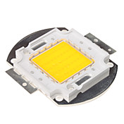 DIY 50W 4000-5000lm 3050-3250K Natural White Light Module à DEL intégrée (32-34V)
