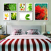 Moderna Photo Frame parete Collection-Serie di 7 PM-7A
