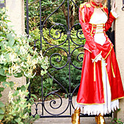 Cosplay Dress Inspired by Fate Stay Night Red Saber Swordsman