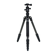 Benro tripé de câmera Kit C1691TB0