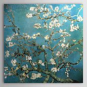 handbemalte Blühende Mandelbaumzweige, San Remy, ca. 1890 Ölgemälde von Vincent van Gogh mit gestreckten Rahmen