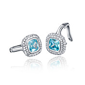 Prachtige 925 sterling Silver Platinum Plated AAAA Birthstone oorbellen