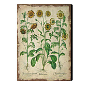 gestreckten Leinen druckt vintage floral 1212-0140