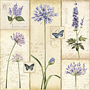 Printed Art Botanical Etude De Fleur II by Peggy Harris