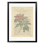 Gerahmter Kunstdruck Blumen von Marcus Jules