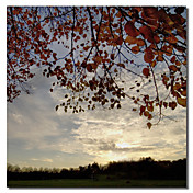 Framed Art Print Landscape Sundown Square by Harold Silverman - Landscapes