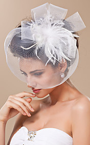 Gorgeous Tulle With Feather Bridal Veil/ Headpiece