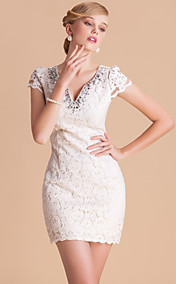 TS High End V Neck Handmade Beads Lace Sheath Dress