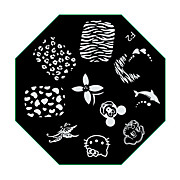  F2 Stamping Series Nail Art Image Stamp Template Plate 1