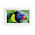  4,3-Zoll-Touchscreen MP4-Player (8GB, 720p)