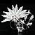  Gorgeous Rhinestones/ Imitation Pearls Bridal Combs