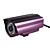  Outdoor Waterproof Wireless IP Camera 24LEDs Purple + Motion Detection Alert With Snapshots Via Email