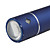  pruniers sculpture torche trousseau bleu profond