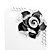  Premium Hard Case with Crystals for iPhone 4 (Black Flower)
