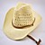  stro cowboy hoed (meer kleuren)