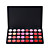  trovare il colore della palette 32 colori rossetto gloss