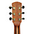  41 "delfino ritagliarsi canadese di cedro rosso chitarra acustica solid top con cassa in concerto