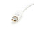  Mini Display Port to DVI Adapter