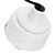  EasyN - H.264 High Speed Dome Ip Camera with 10X Optical Zoom