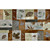  Verschillende Bladeren Natuur Mural