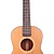 ELLA - (UK-4308SSS) All-solid Red Cedar Tenor Ukulele with Bag
