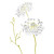  Bloemen Hedendaagse Grafische Natuur Mural