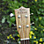  Koa Pili Koko - (Ac-sl)  All-solid Koa Extended Fingerboard Soprano Ukulele with Bag/Strap