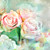  Pink Roses Floral Nature Mural