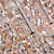  Artistic 6 - Light Crystal Pendant Lights with Glass Shade