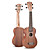  Matata - (UK21/SP) Caoba Madera contrachapada Ukulele Piña con asas / Selecciones