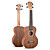  Matata - (UK23/C) Plywood Mahogany Concert Ukulele with Bag/Picks