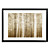  Printed Art Landscape Forest Mist by Pela + Silverman