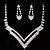  Rhinestone Dignified Necklace And Earring Set