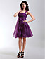  DENTON - Vestido de Cóctel de Organza