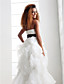  A-line Princess Sweetheart Strapless Floor-length Organza Wedding Dress