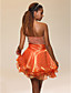  LANCASTER - Vestido de Cóctel de Organza