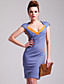  TS Colorblock Bodycon Dress