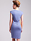  TS Colorblock Bodycon Dress