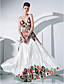  A-line V-neck Floor-length Charmeuse And Tulle Evening Dress